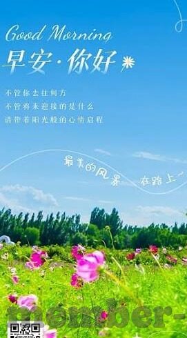 琛球比分即时足球比分-琛球比分，即时足球比分的精准导航与深度解析